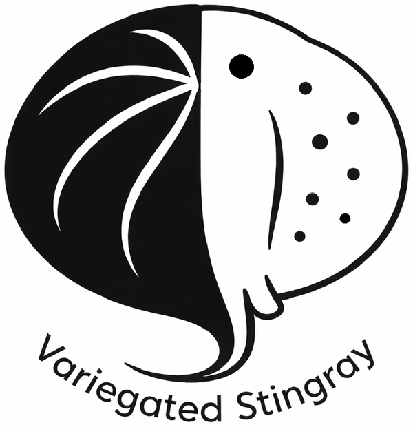 Variegated Stingray