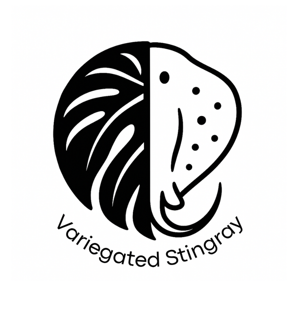 Variegated Stingray